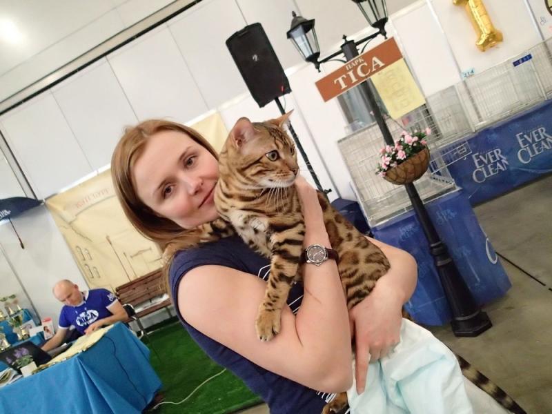 Поговорим о кошках32