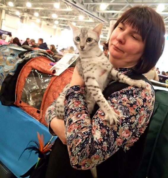 Поговорим о кошках32