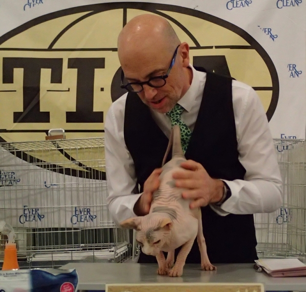 Поговорим о кошках32