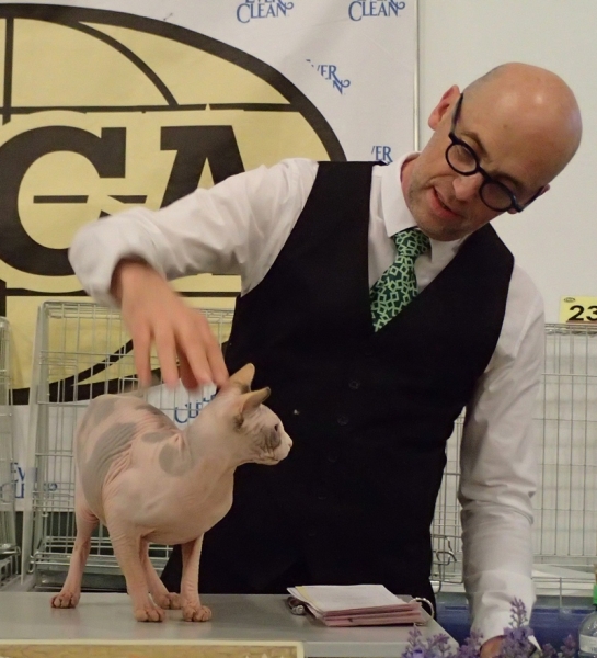 Поговорим о кошках32