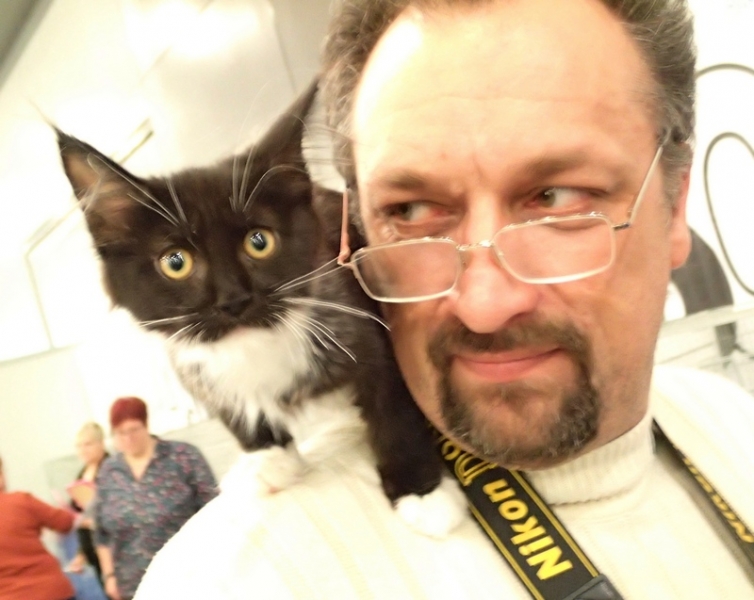 Поговорим о кошках32