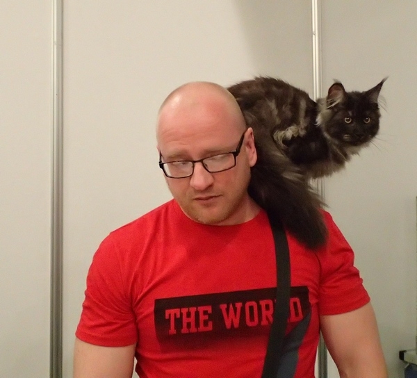 Поговорим о кошках32