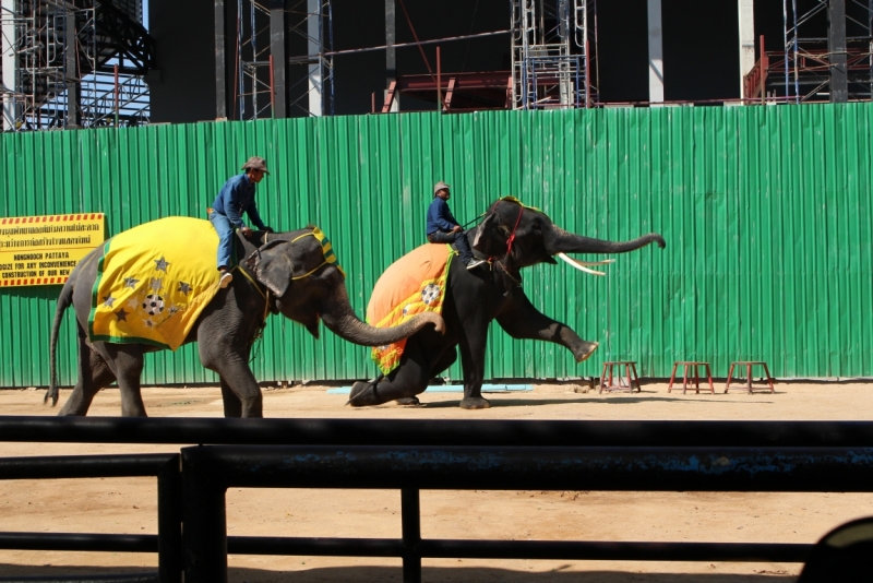 Птт-ХХ-Тао-Панган-Краби-Као Лак-Пхукет-Бнк декабрь с ребенком