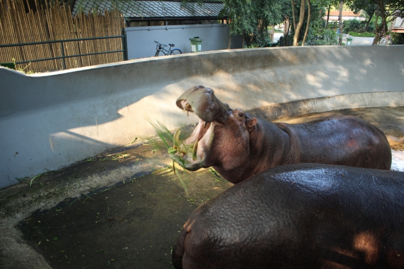 Птт-ХХ-Тао-Панган-Краби-Као Лак-Пхукет-Бнк декабрь с ребенком
