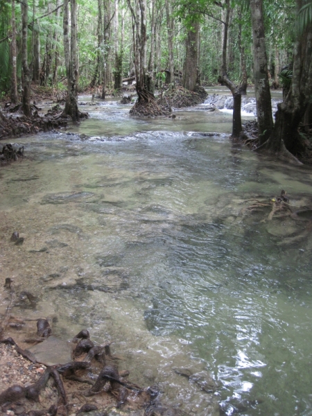 Птт-ХХ-Тао-Панган-Краби-Као Лак-Пхукет-Бнк декабрь с ребенком