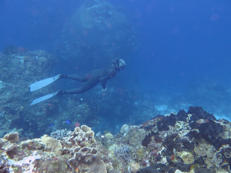 17 x 17 : фридайвинг-путешествие в Мексику