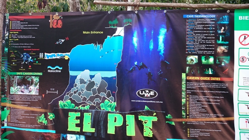 17 x 17 : фридайвинг-путешествие в Мексику