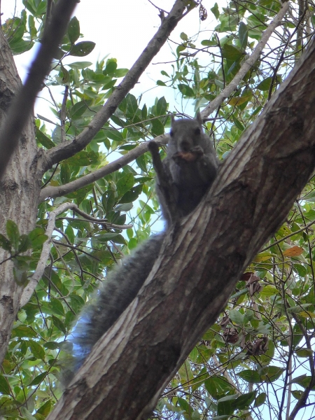 17 x 17 : фридайвинг-путешествие в Мексику