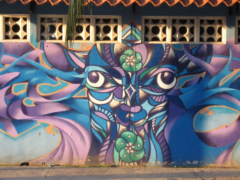 17 x 17 : фридайвинг-путешествие в Мексику