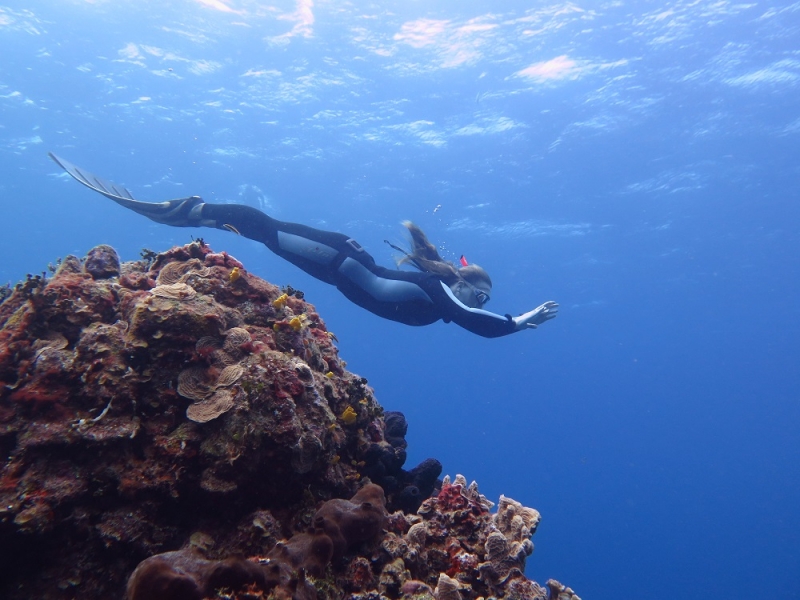 17 x 17 : фридайвинг-путешествие в Мексику