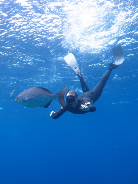 17 x 17 : фридайвинг-путешествие в Мексику