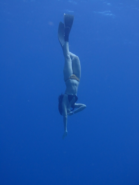 17 x 17 : фридайвинг-путешествие в Мексику