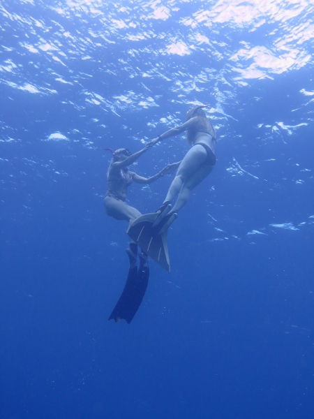 17 x 17 : фридайвинг-путешествие в Мексику