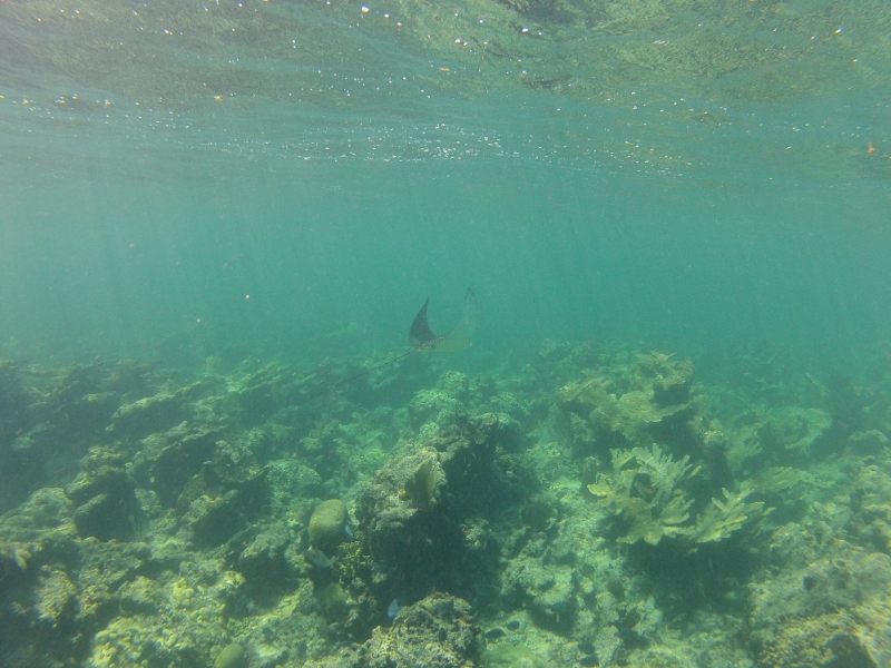 17 x 17 : фридайвинг-путешествие в Мексику