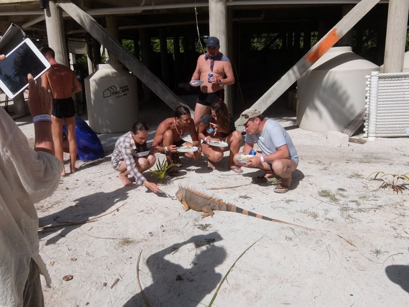 17 x 17 : фридайвинг-путешествие в Мексику