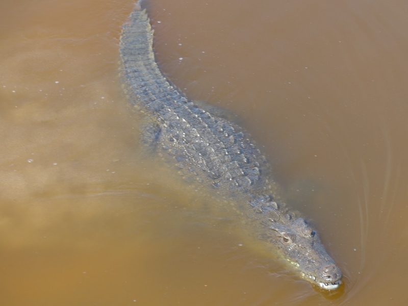 17 x 17 : фридайвинг-путешествие в Мексику