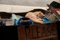 Walking in the city 04