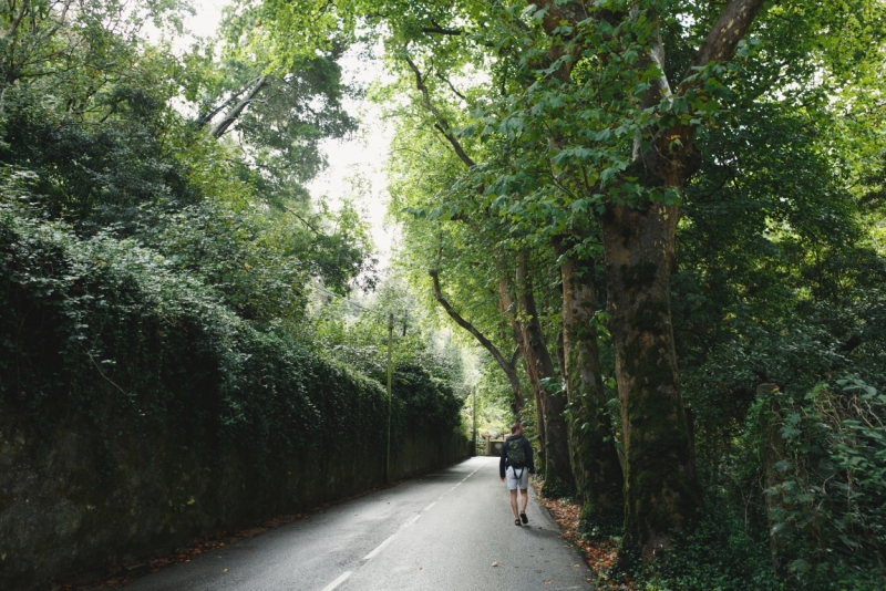 Две недели в Португалии: Лиссабон + Эрисейра. Сентябрь 2014 г. (Много фото)