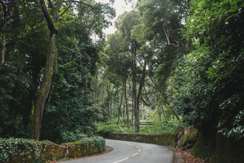 Две недели в Португалии: Лиссабон + Эрисейра. Сентябрь 2014 г. (Много фото)