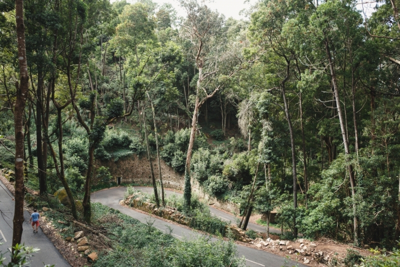 Две недели в Португалии: Лиссабон + Эрисейра. Сентябрь 2014 г. (Много фото)