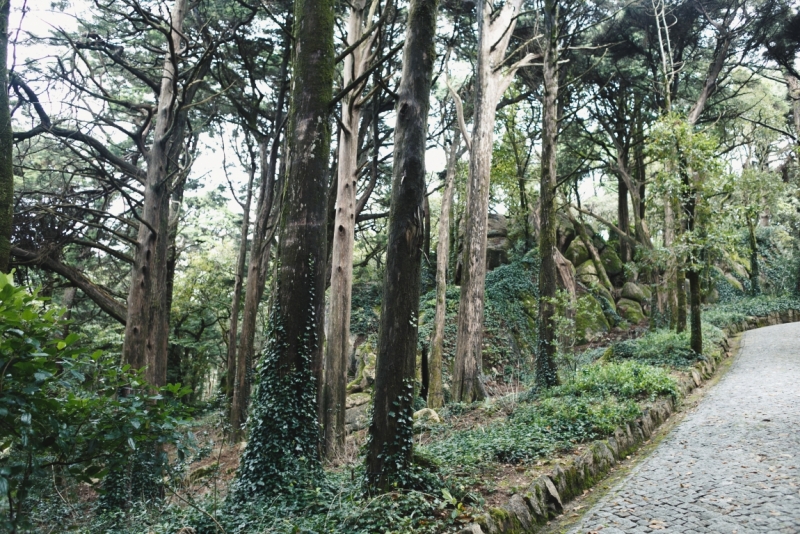 Две недели в Португалии: Лиссабон + Эрисейра. Сентябрь 2014 г. (Много фото)