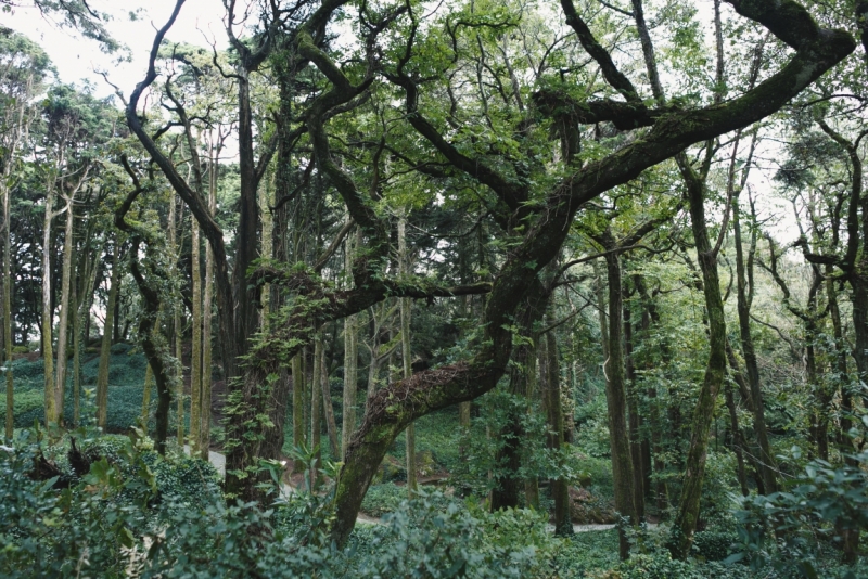 Две недели в Португалии: Лиссабон + Эрисейра. Сентябрь 2014 г. (Много фото)