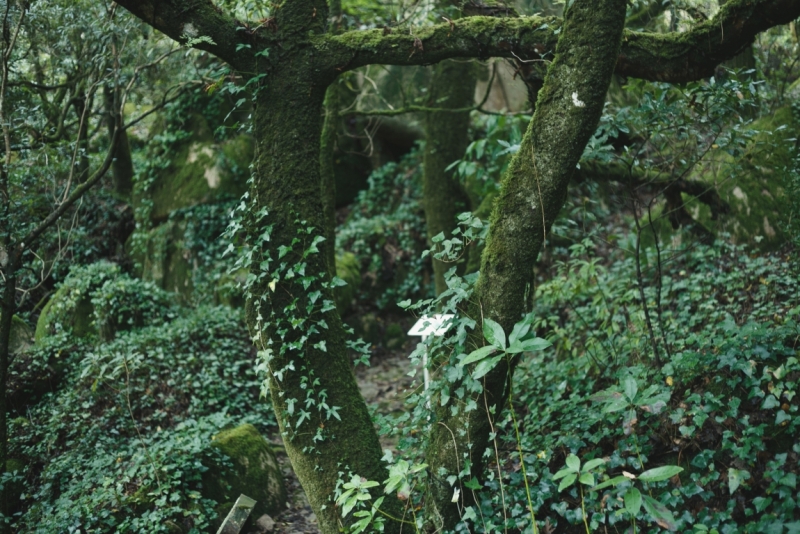 Две недели в Португалии: Лиссабон + Эрисейра. Сентябрь 2014 г. (Много фото)