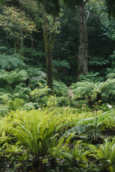 Две недели в Португалии: Лиссабон + Эрисейра. Сентябрь 2014 г. (Много фото)