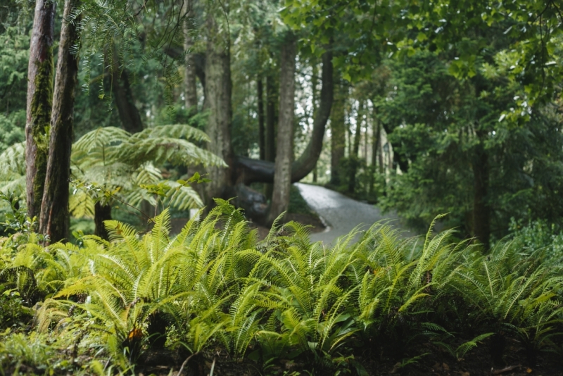 Две недели в Португалии: Лиссабон + Эрисейра. Сентябрь 2014 г. (Много фото)