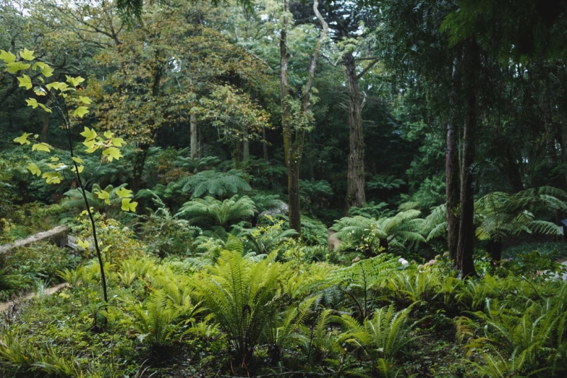 Две недели в Португалии: Лиссабон + Эрисейра. Сентябрь 2014 г. (Много фото)