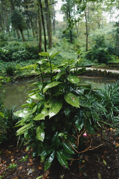 Две недели в Португалии: Лиссабон + Эрисейра. Сентябрь 2014 г. (Много фото)