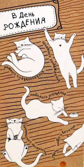 Поговорим о кошках32