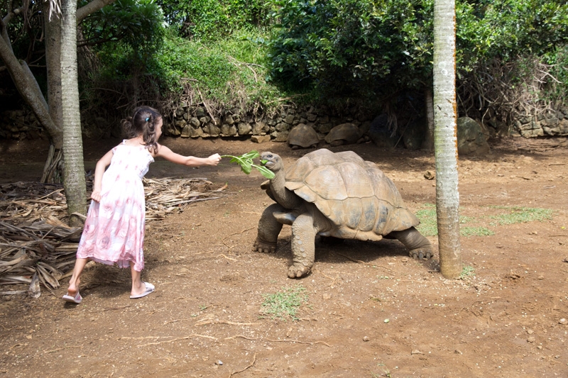 Маврикий с двумя детьми 29 марта – 16 июня 2014