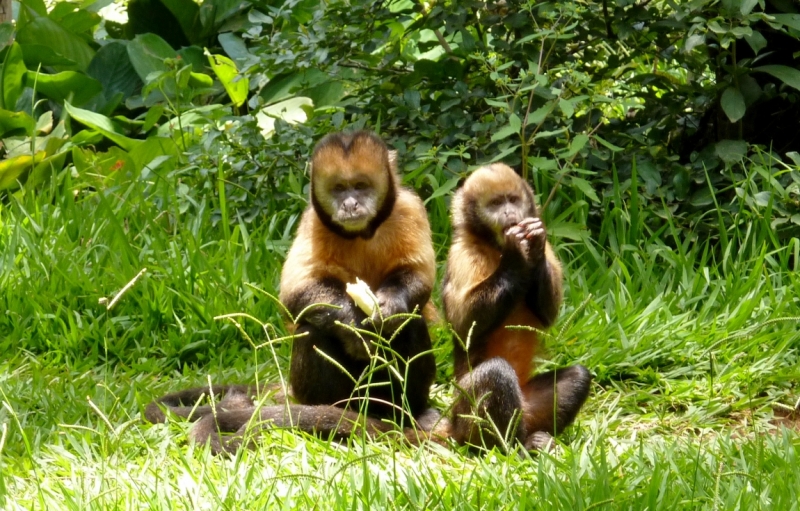 Как я купил мотоцикл в Бриджпорте, и проехал на нём по Америке.