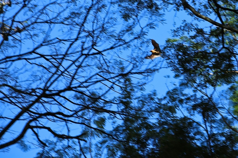 21 день по Шри-Ланке на машине 21 день по Шри-Ланке на машине