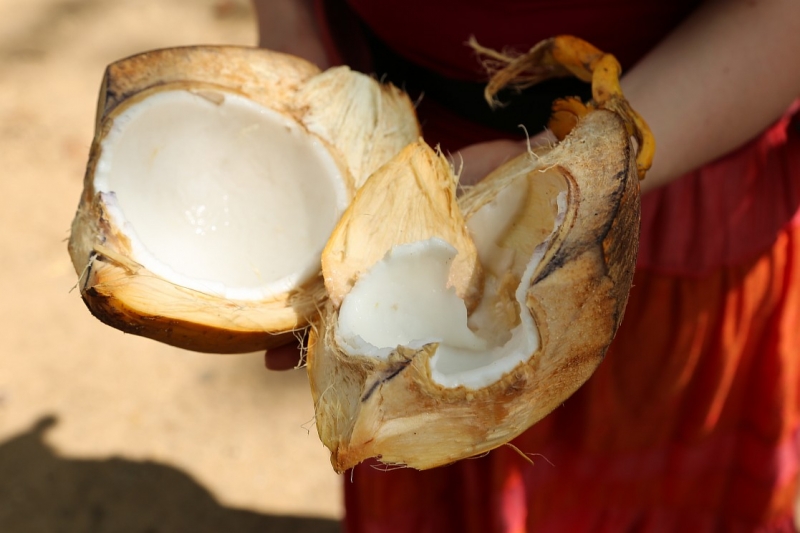 21 день по Шри-Ланке на машине 21 день по Шри-Ланке на машине