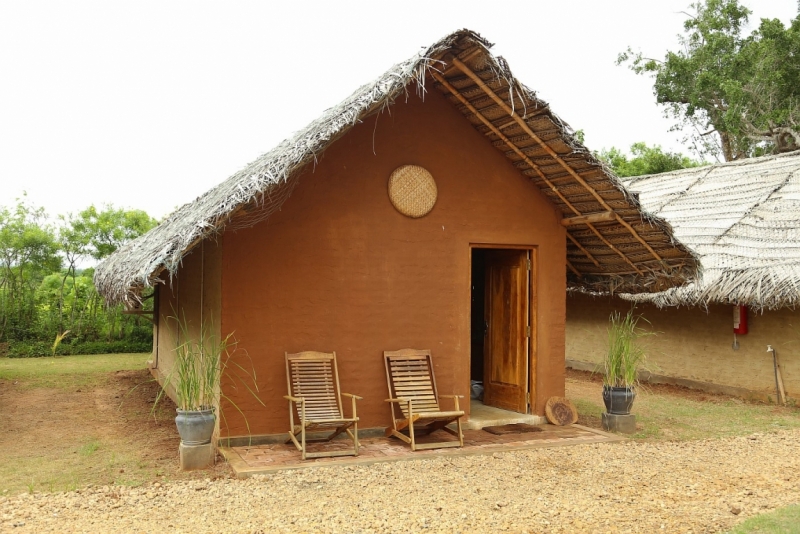 21 день по Шри-Ланке на машине