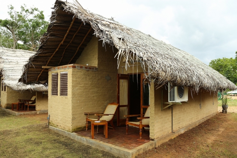 21 день по Шри-Ланке на машине