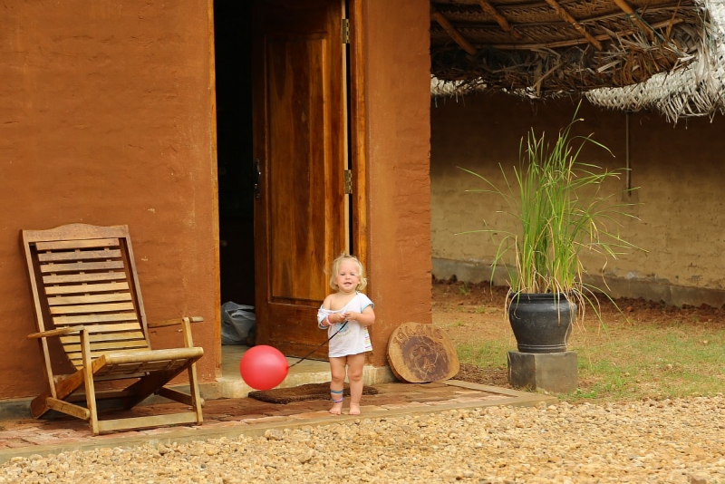 21 день по Шри-Ланке на машине