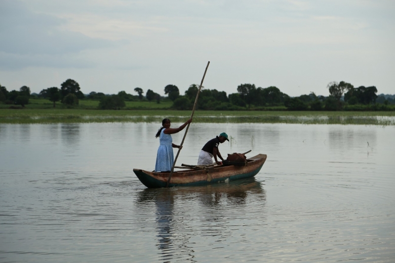 21 день по Шри-Ланке на машине