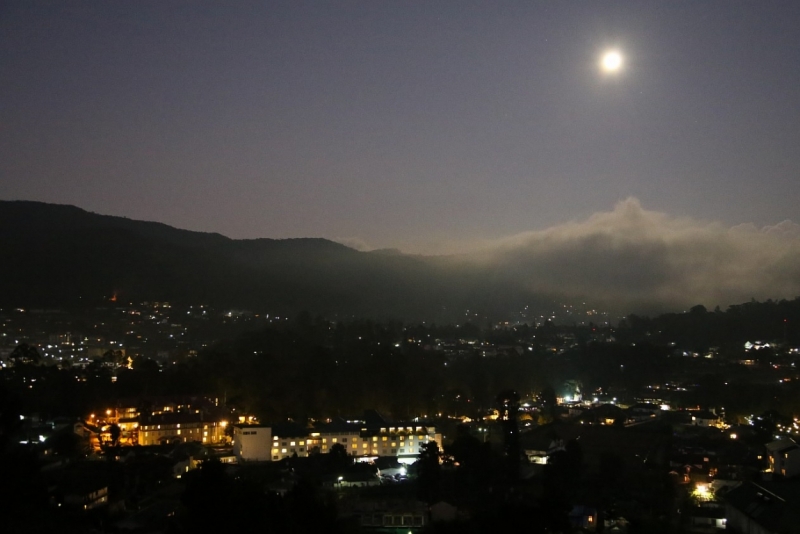 21 день по Шри-Ланке на машине