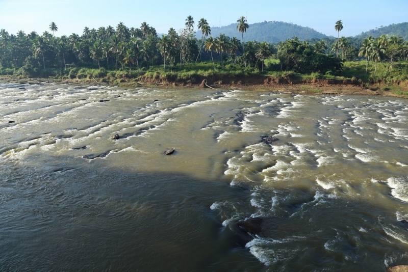 21 день по Шри-Ланке на машине