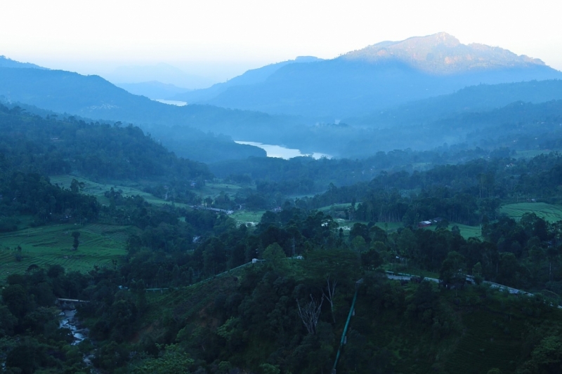 21 день по Шри-Ланке на машине