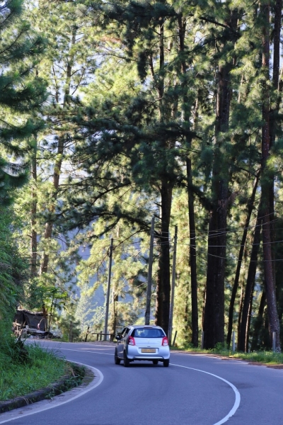 21 день по Шри-Ланке на машине 21 день по Шри-Ланке на машине