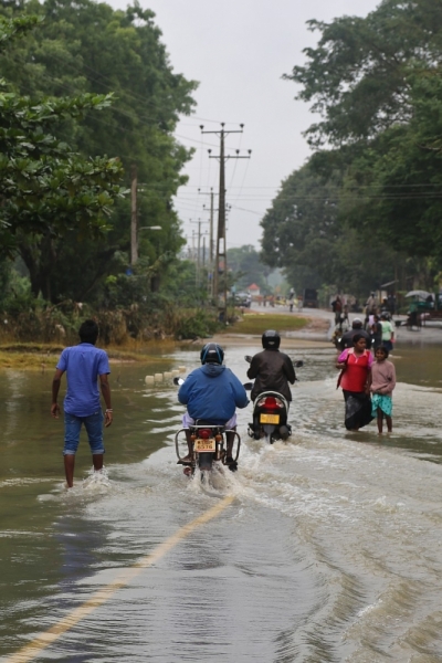 21 день по Шри-Ланке на машине