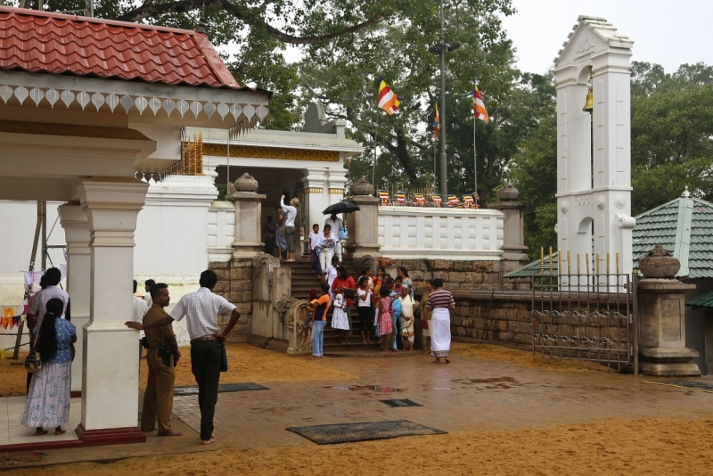 21 день по Шри-Ланке на машине