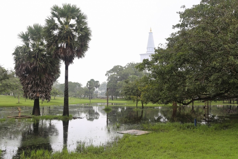 21 день по Шри-Ланке на машине