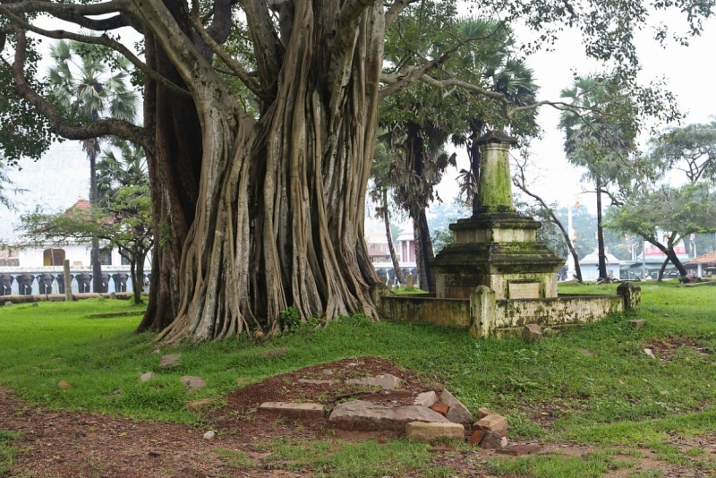 21 день по Шри-Ланке на машине