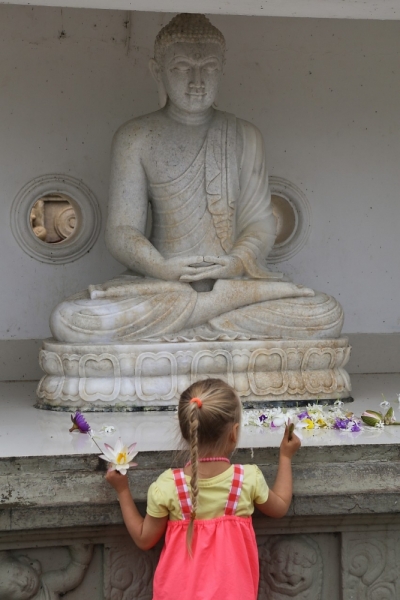 21 день по Шри-Ланке на машине