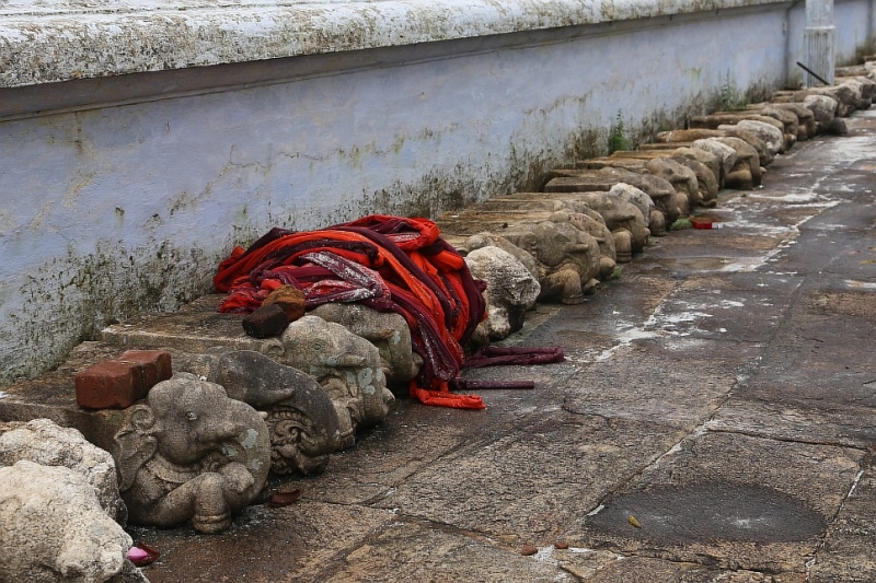 21 день по Шри-Ланке на машине